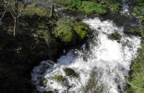 Apparthotel Privilodges Carré de Jaude - Foto 69