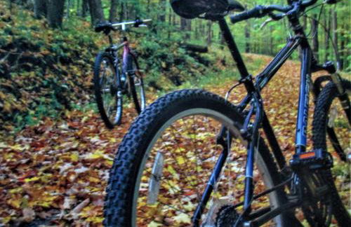 Alpine Log Cabin - Foto 22