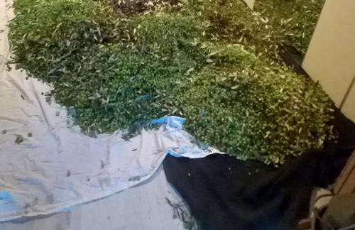 Torre del Drago - Foto 35