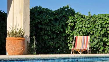 Les Pierrades en Camargue - Photo 3