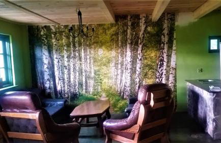 Agroturystyka Szafarnia 19 - Foto 34