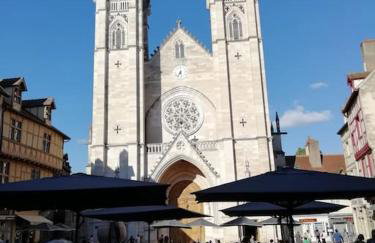 La Maison aux volets bleus 37 m3, Bords de Saône - Foto 34