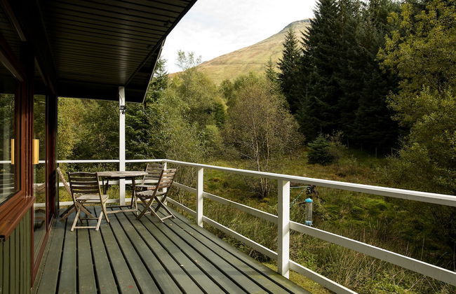 The Whooper - Foto 25