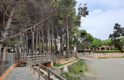 L'ARMONIA entre la Farella i Cau del LLOP - Foto 29