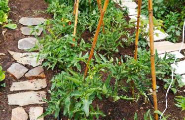 Megris Country Houses - Foto 14