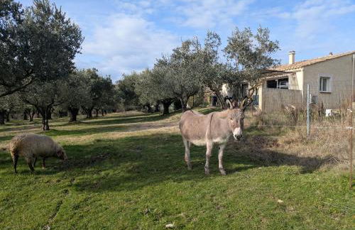 Gîtes Meynard et Lorie - Foto 28