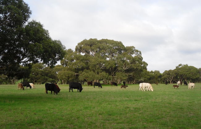 Wenton Farm Holiday Cottages - Photo 22