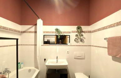 K2-Project - Dschungel-Abenteuer - Foto 4