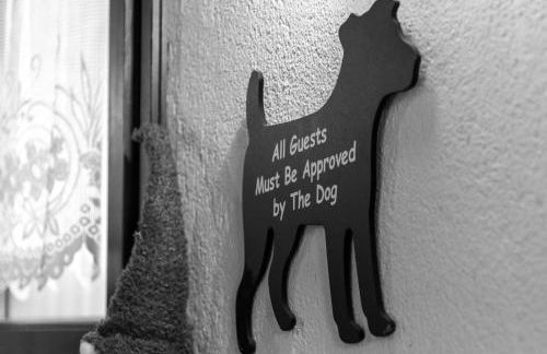 Casa Netto - Foto 28