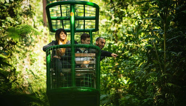 Rainforest Atlantic Adventure Park Visit - Foto 2