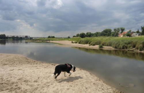 Ferienwohnung Rosenflair - Foto 37