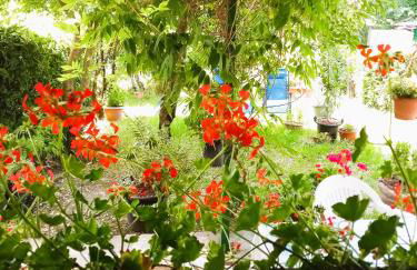 casa minnie - Foto 31