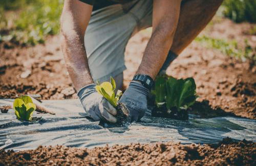 Ca' del Monte Resort - Foto 34