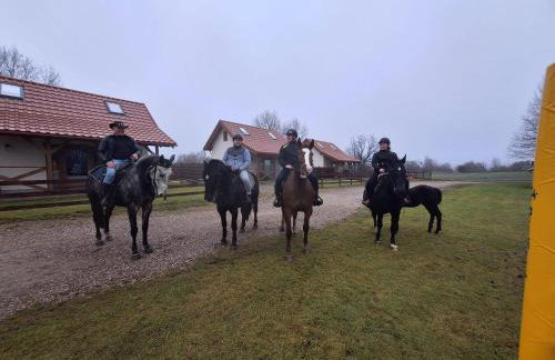 Ostoja Lemany - domki na Kaszubach, sauna, balia-jacuzzi, plac zabaw, tyrolka , dwa boiska, miejsce na ognisko, grill gazowy - Foto 44