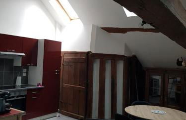 Beaugency-3 sur la route des châteaux - Photo 10