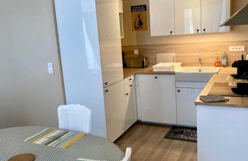 La maison Virginie appartements de 1 à 5 pers cosy central parking gratuit linge fibre proximité port lac canal piscine - Photo 14