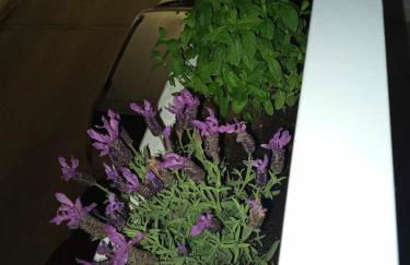 Chrysa's house - Foto 45