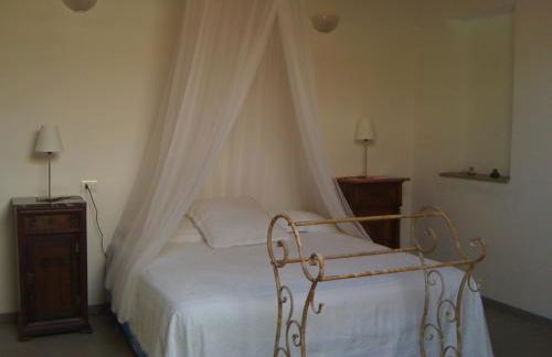 Az. Agr. IL PARADISO di Beatrice Bondielli - Foto 3