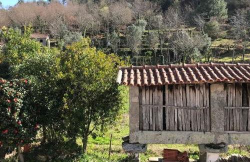 Apartment Casa da Laija by Interhome - Foto 27