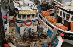 L'Escale Portaise - Photo 40