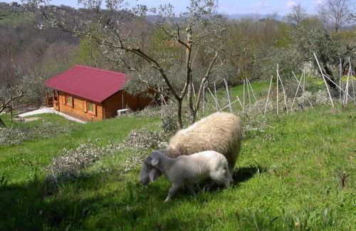 Agriturismo Cisogna - Foto 69