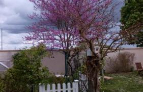 Gîte Les Bignones - Foto 7