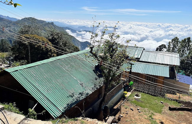 Mount Olympus Hood cabin - Foto 20