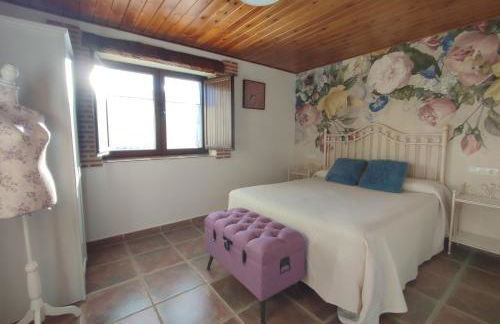 Alameda II con CHIMENEA Salòn y BARBACOA en patio - Foto 9