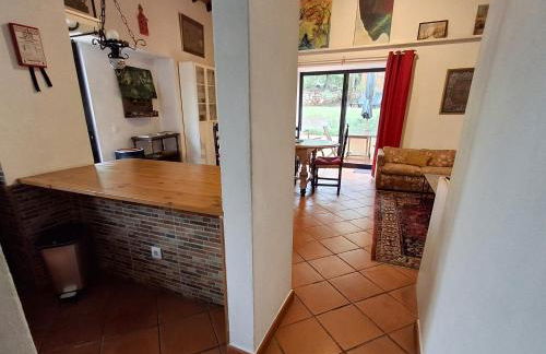 Garden in the City - Photo 11