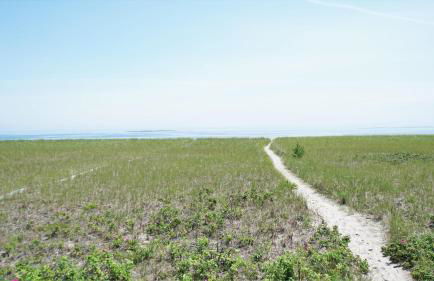 Hank's Hideaway by Bayley Vacation Rentals - Foto 8