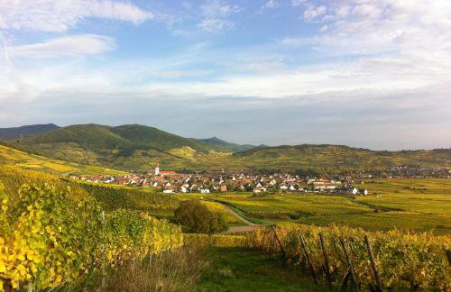 Gite Kaefferkopf - Foto 9