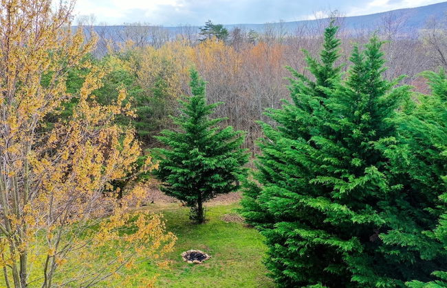 Cacapon Connected - Workplace Retreat - Foto 46