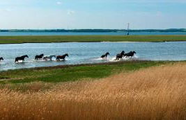 Glück Ahoi - Foto 9