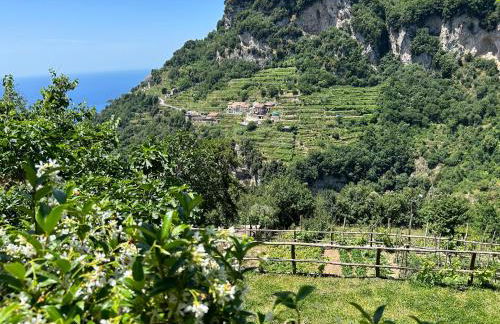 Agriturismo Orrido di Pino - Foto 56