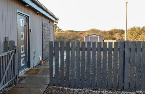 Pine Marten - Foto 27