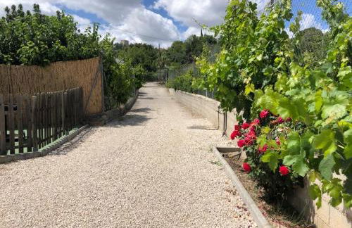 Casa de Campo Patricia - Foto 24