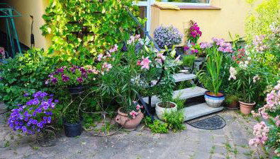 Słoneczne apartamenty - Foto 4, Garden view