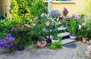 Słoneczne apartamenty - Photo 4