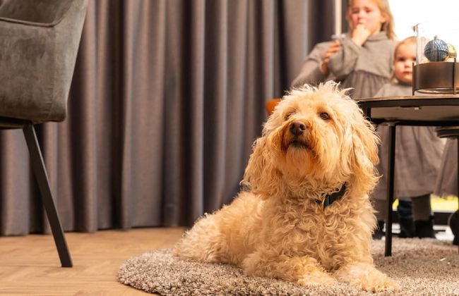 Loosdrecht Water Villa - Foto 8