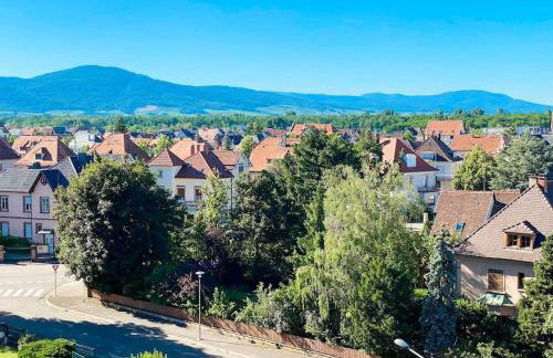 Le Belvédère Alsacien - Foto 40