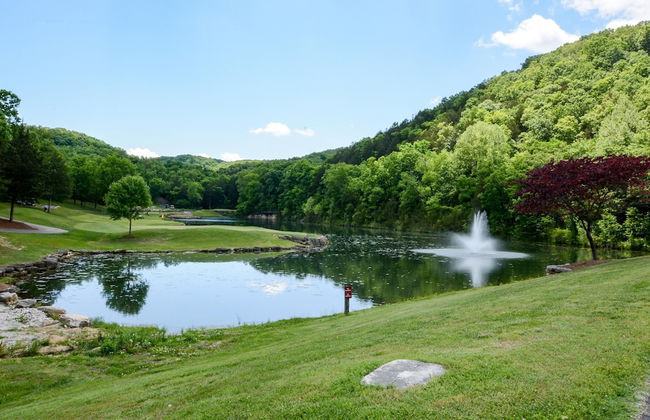 The Splendor - Foto 11