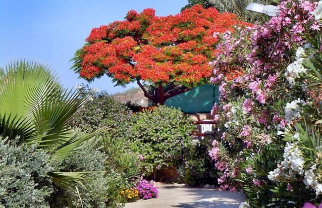 Rododafni Beach Apartments - Foto 66