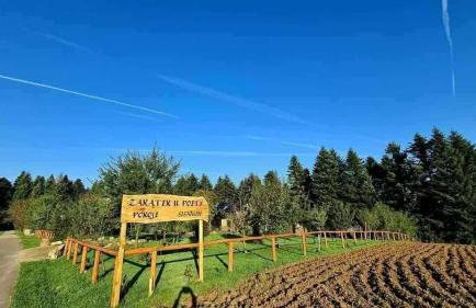 Zakątek u Poety Dąbrówka - Foto 1