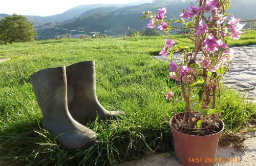 Quinta da Aranha - Foto 47