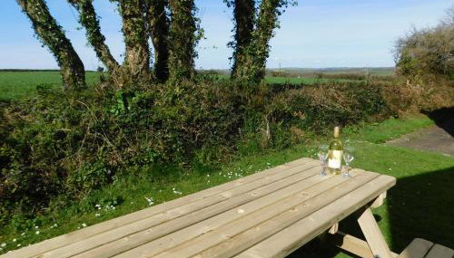 Primrose Cottage, spacious 4 bed house near Newquay - Foto 4, Garden view