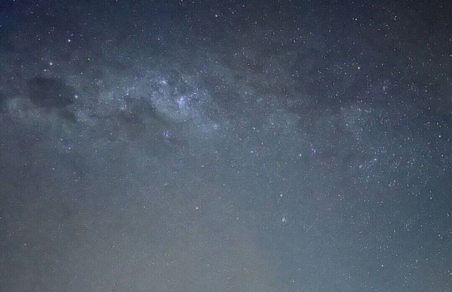 Farmless Home - Foto 42