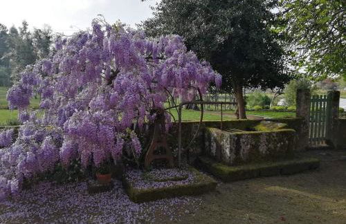 Quinta do Santinho - Foto 17