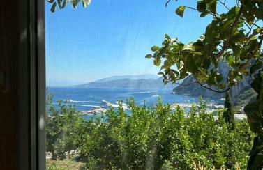 Depandance Casa Paolina - Foto 19