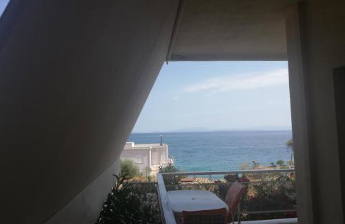 kineta Sunny Beach - Foto 10