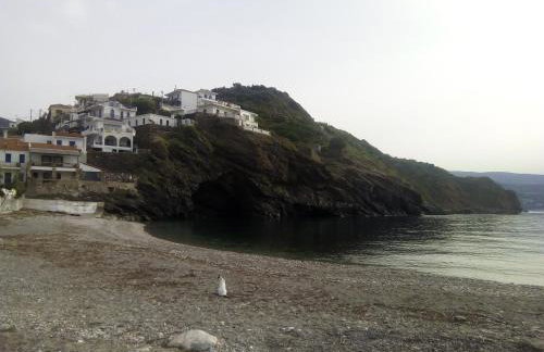 The House on the Coast - Photo 29